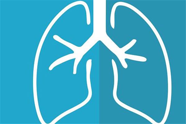 夢の中で肺はどういう意味ですか？ 夢占い