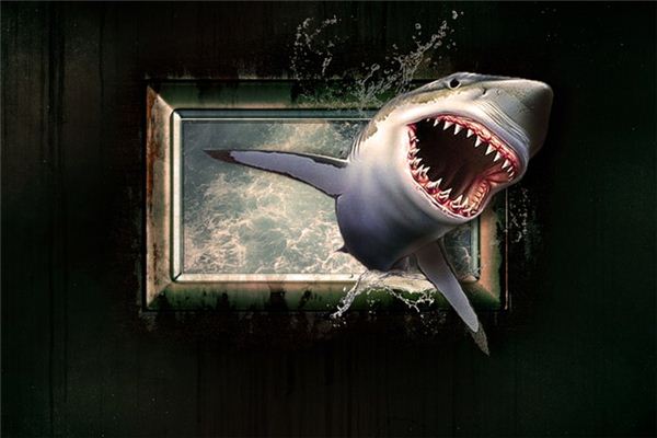 【夢占い】サメの夢の意味とシンボル