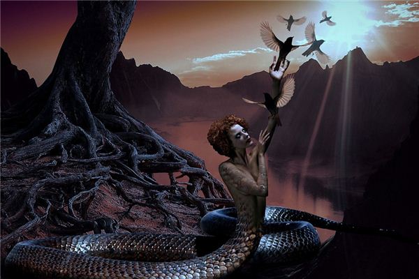【夢占い】ヘビが人間に変わる夢の意味