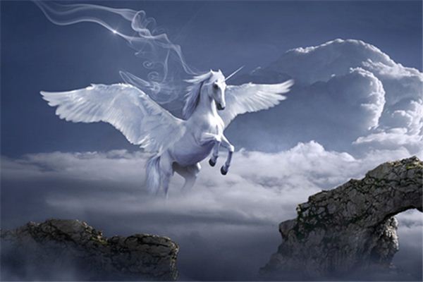 【夢占い】長い角を持つ白い馬の夢の意味