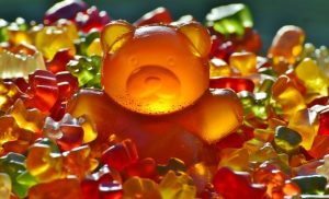 【夢占い】クマの夢の意味33選