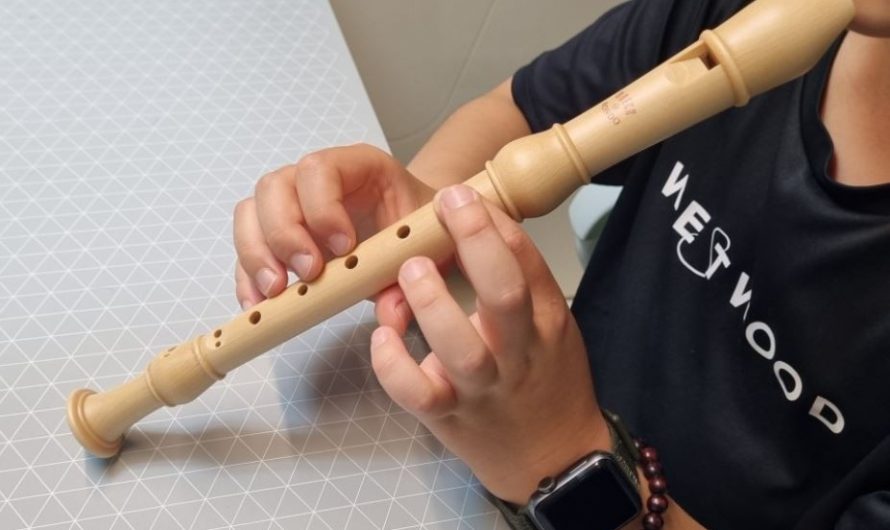 【夢占い】リコーダーの夢の意味 7 選