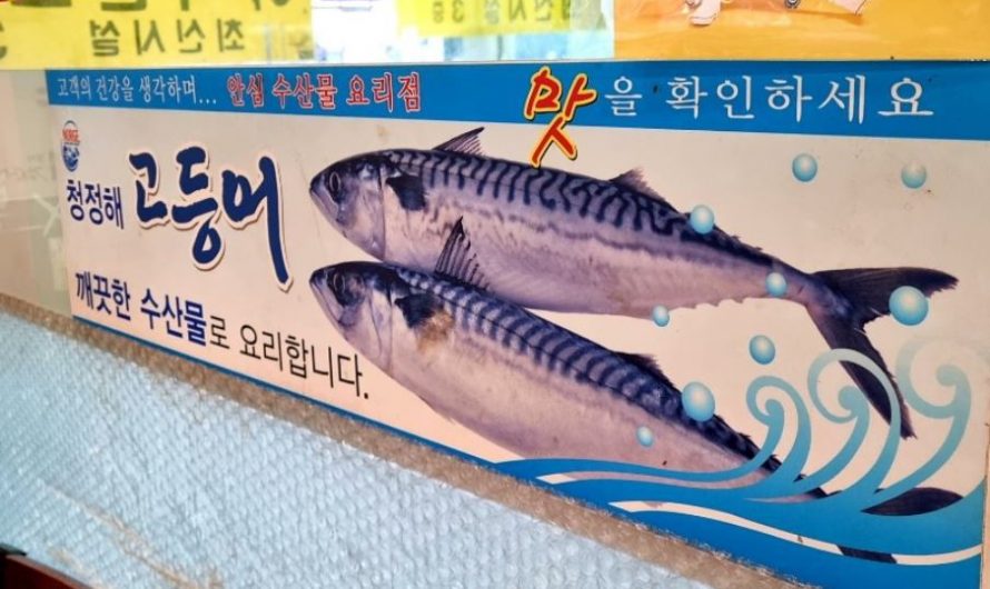 【夢占い】サバの夢の意味 10 選