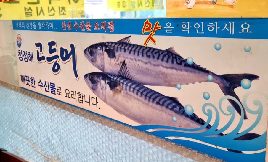 【夢占い】サバの夢の意味 10 選