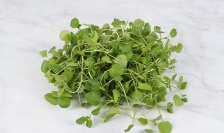 【夢占い】大根の夢の意味 12 選