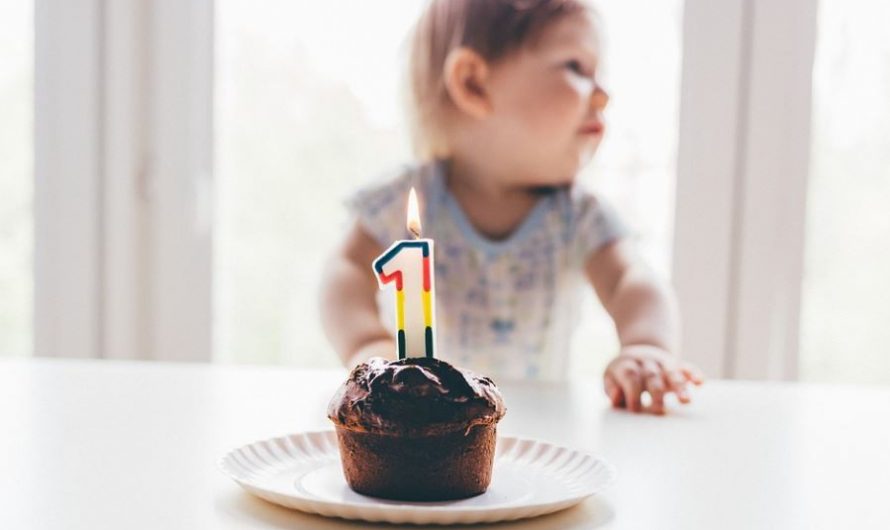 【夢占い】石の宴会の夢の意味 10 選