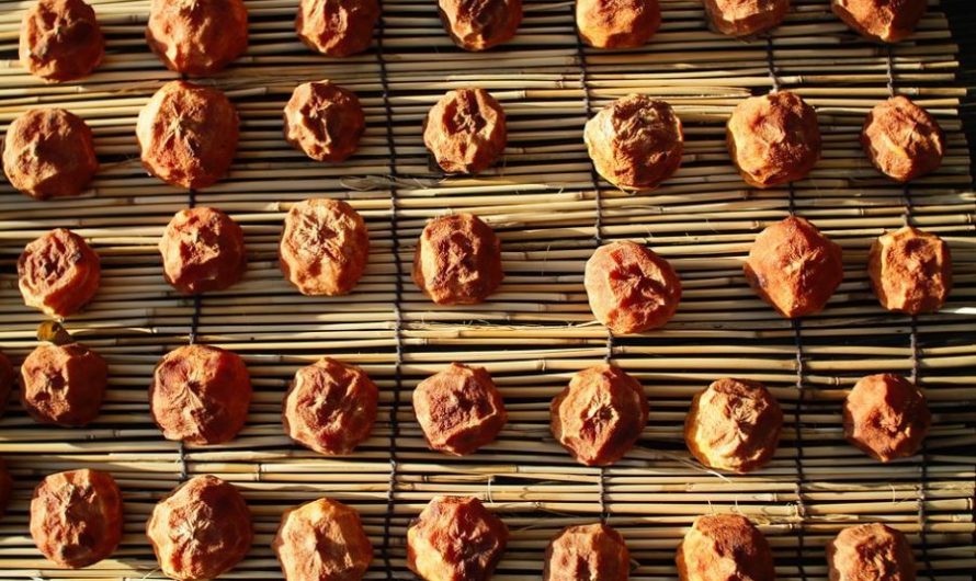 【夢占い】柿の夢の意味 10 選