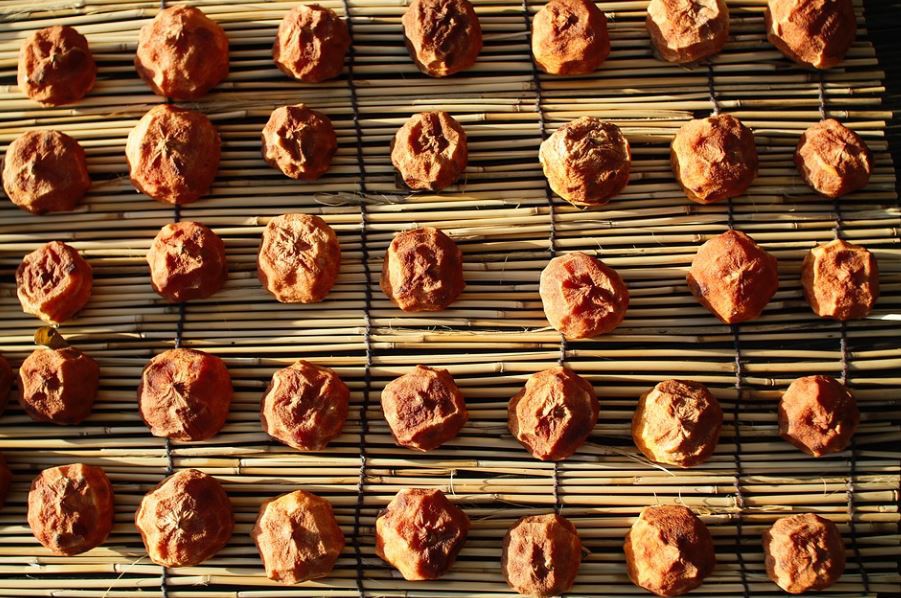 【夢占い】柿の夢の意味 10 選