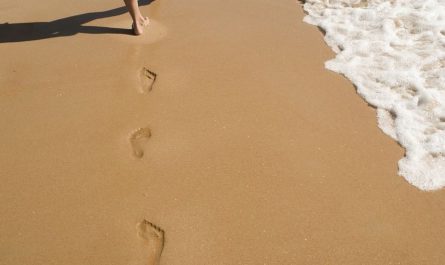 【夢占い】足跡の夢の意味 8 選
