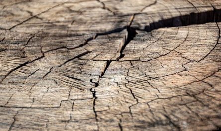 【夢占い】ひび割れの夢の意味 8 選