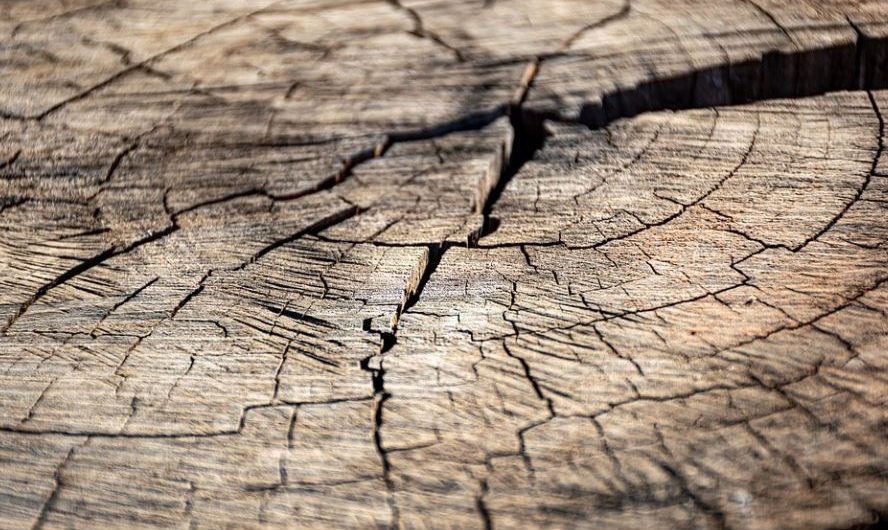 【夢占い】ひび割れの夢の意味 8 選