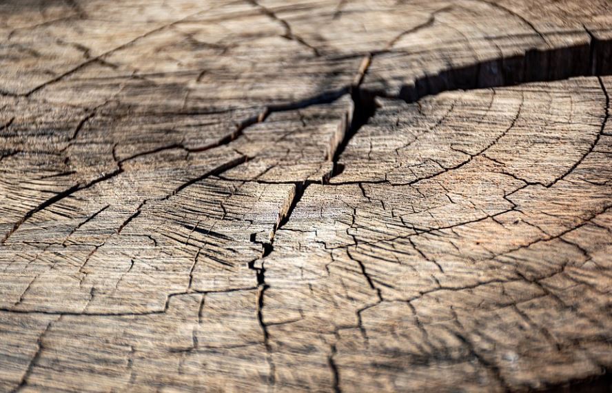 【夢占い】ひび割れの夢の意味 8 選