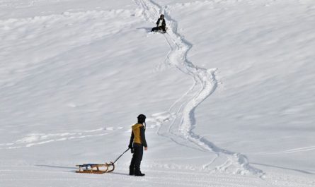 【夢占い】そりの夢の意味 11 選