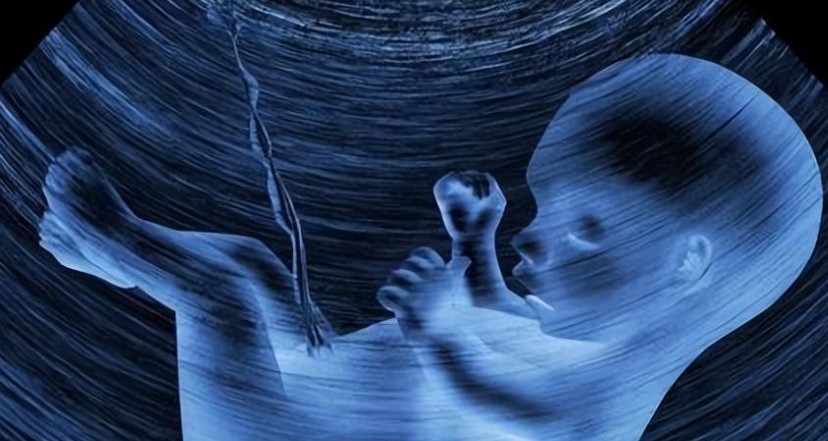 【夢占い】誰かが妊娠する夢を見るの意味 18 選