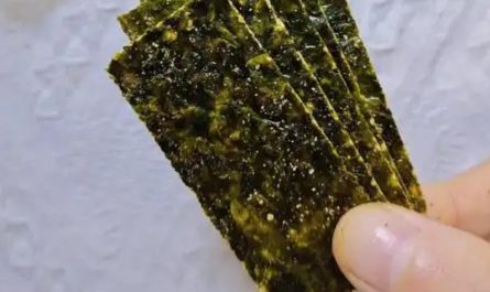 【夢占い】海苔を食べる夢の意味 7 選