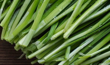 【夢占い】リーキの夢の意味 14 選