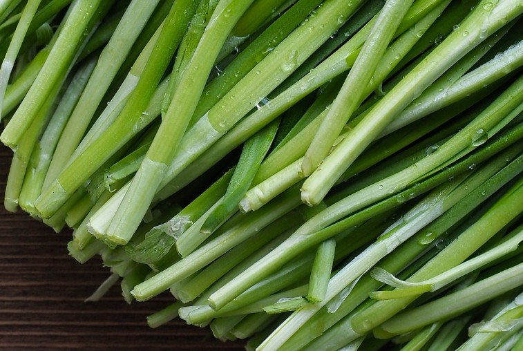 【夢占い】リーキの夢の意味 14 選