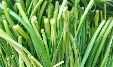 【夢占い】リーキの夢の意味 13 選