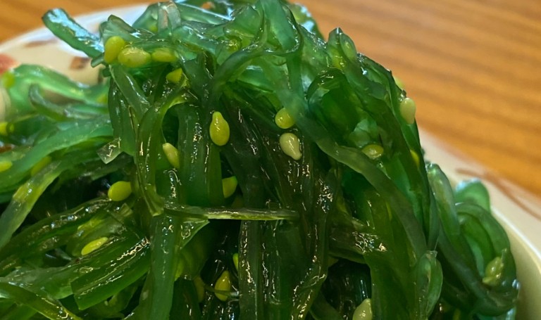 【夢占い】海藻に関する夢の意味 10 選