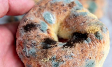 【夢占い】カビの夢を見るの意味 19 選