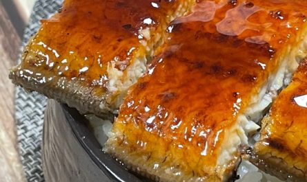 【夢占い】ウナギの夢を見るの意味 17 選