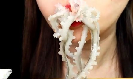 【夢占い】タコを食べる夢 の意味 15 選