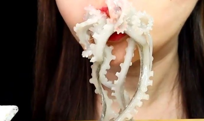 【夢占い】タコを食べる夢 の意味 15 選