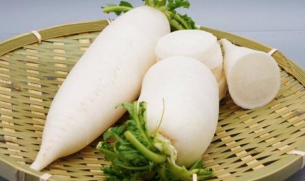 【夢占い】大根の夢の意味 12 選