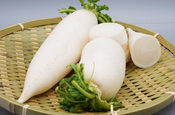 【夢占い】大根の夢の意味 12 選