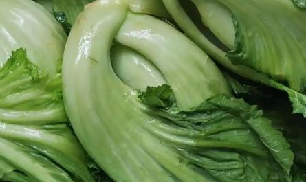 【夢占い】ザワークラウトの夢の意味 14 選