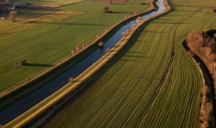 【夢占い】農地を夢見ての意味 19 選