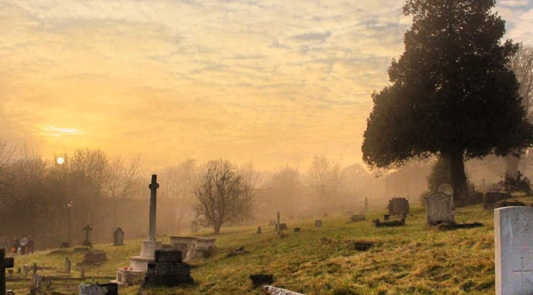 【夢占い】墓の夢の13の解釈:墓に行って迷子になる夢、墓が崩れる夢