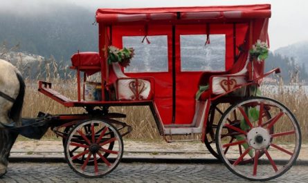 【夢占い】馬車の夢の意味15選