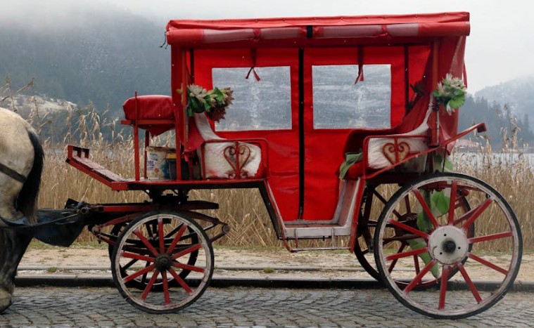 【夢占い】馬車の夢の意味15選