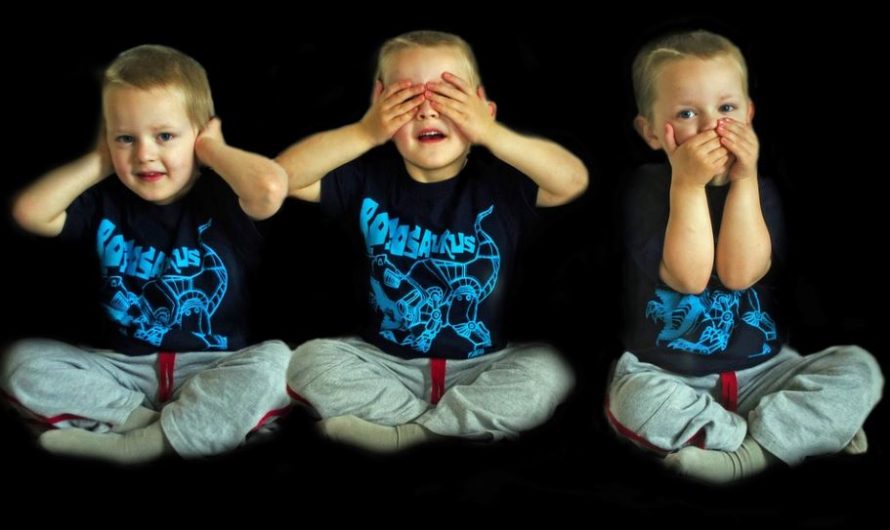 【夢占い】三つ子を出産する夢の意味 6 選