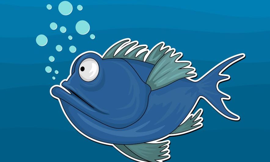 【夢占い】ニシンの夢の意味 7 選