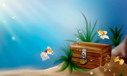 【夢占い】小さな魚の夢の意味 7 選