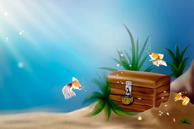 【夢占い】小さな魚の夢の意味 7 選