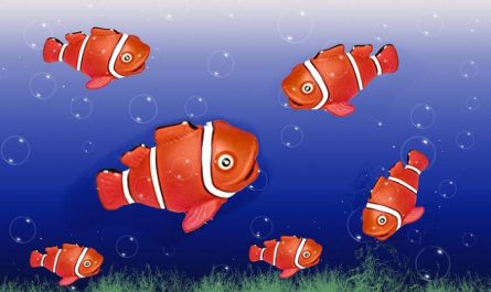 【夢占い】赤い魚の夢の意味 8 選