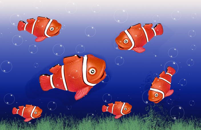 【夢占い】赤い魚の夢の意味 8 選