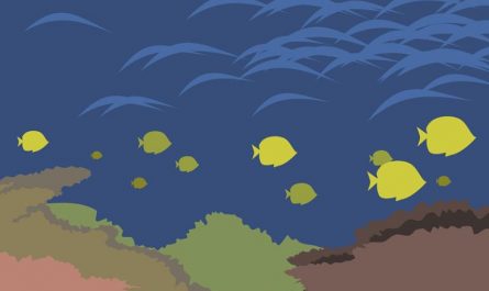 【夢占い】魚の群れの夢の意味 8 選