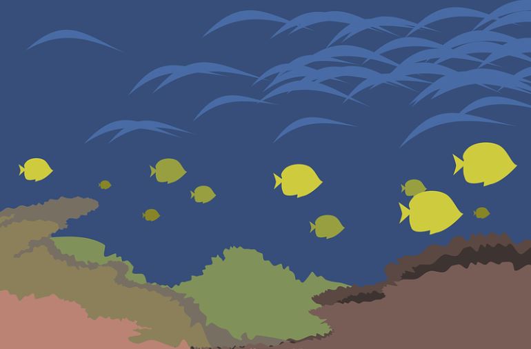 【夢占い】魚の群れの夢の意味 8 選