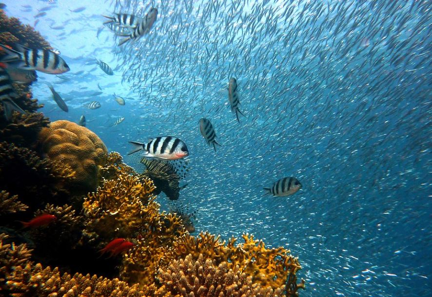 【夢占い】手で釣りをする夢の意味 6 選