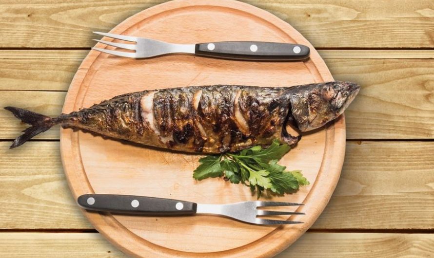 【夢占い】サバの夢の意味 8 選