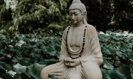 【夢占い】仏教に関する夢の解釈20選