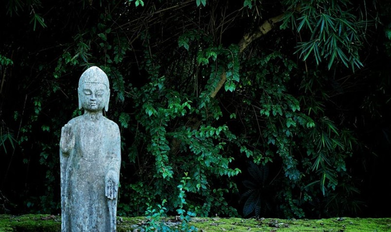 【夢占い】仏像を見る夢の20の解釈