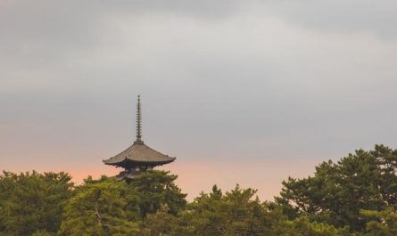 【夢占い】塔の夢に関する20の夢解釈