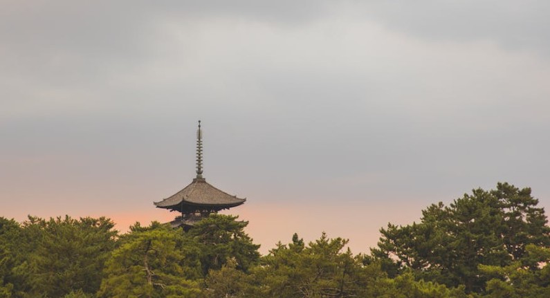 【夢占い】塔の夢に関する20の夢解釈