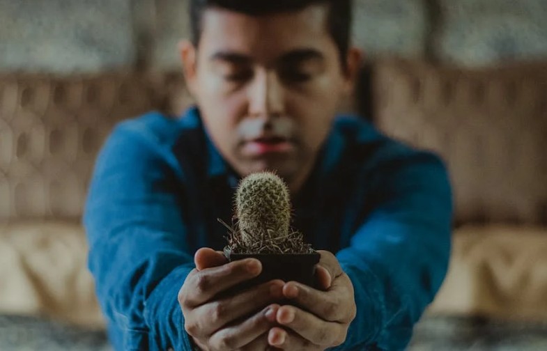 【夢占い】犠牲に関する20の夢解釈