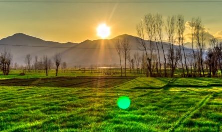 【夢占い】日の出の写真に関する15の夢解釈